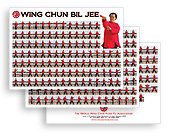 Posters:  Wing Chun Bil Jee