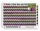 Posters:  Wing Chun Shil Lim Tao