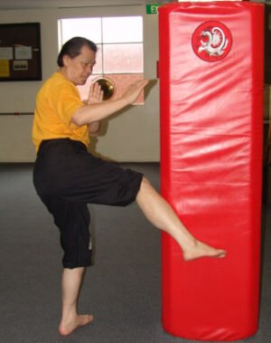 Iron Shin Training Course