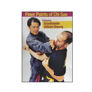 Finer Points of Chi Sao